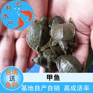 ������������ˮ�a�Bֳ���|���A�M�� ���~�� �ձ��M�� ������