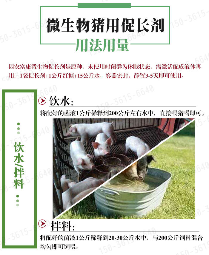 豬催肥增重促長(zhǎng)