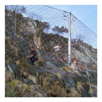 Manufactor Direct selling Mountain National standard a wire rope Preparing the network Slope interception network Flexible protective net