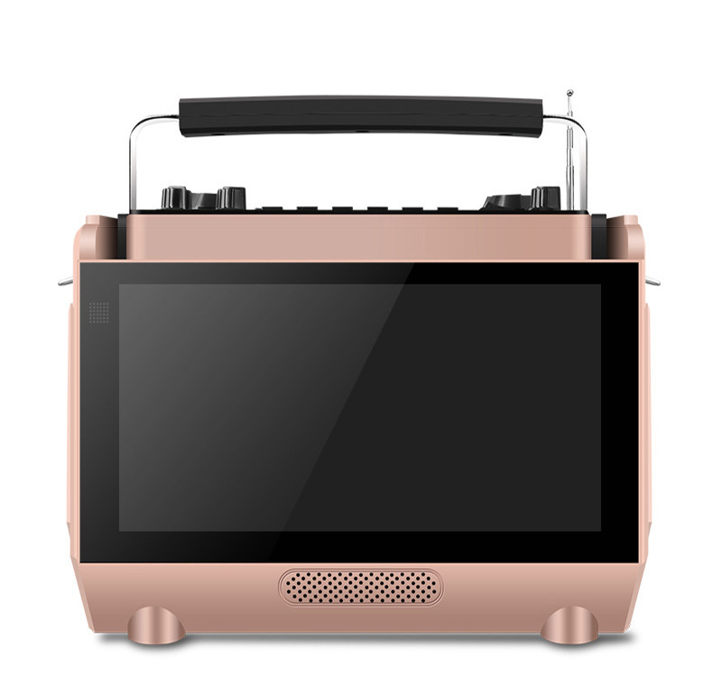 先科9寸无线蓝牙音箱显示屏家庭K歌拉杆手提式插卡U盘户外13音响