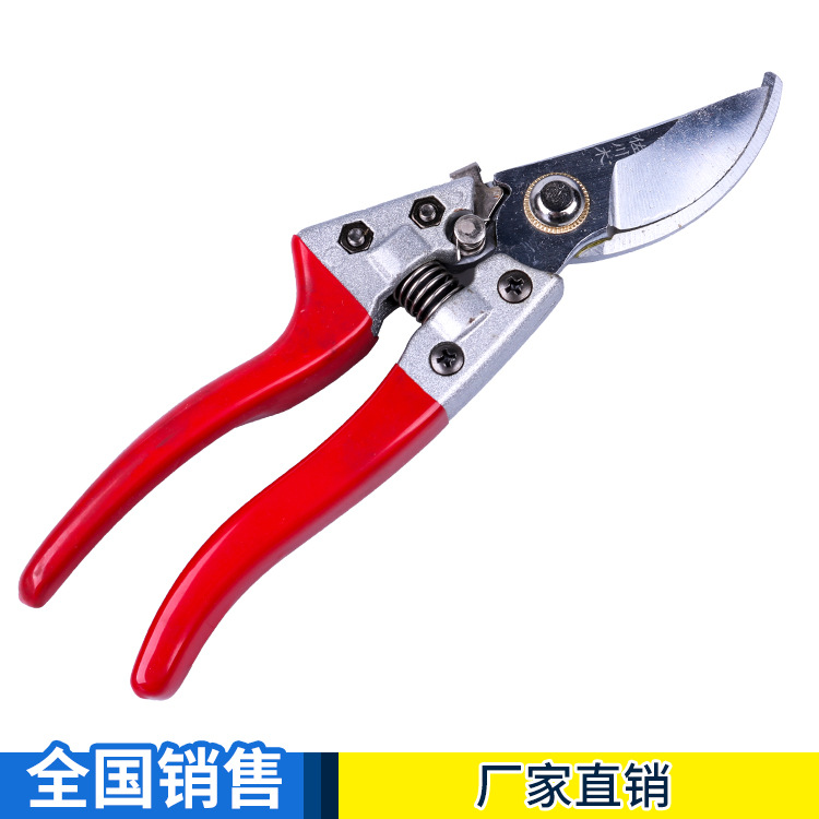 厂家直销 果树剪 修枝剪 批发销售 品质保障 质优价廉园林工具