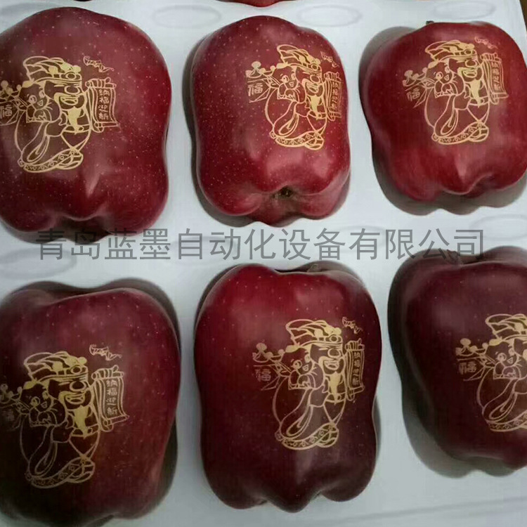 可食用油墨 食品油墨 胶囊用油墨苹果印字油墨