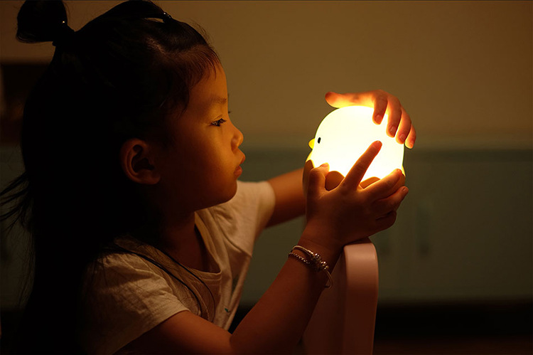 Eggshell Chicken Lamp Image 6