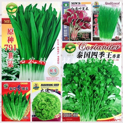 厂家批发叶菜类菜种彩袋蔬菜种子菜籽家庭阳台菜园四季蔬菜种子