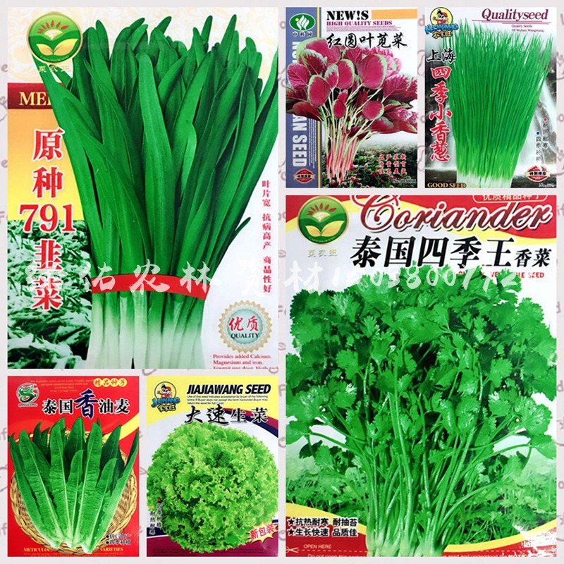厂家批发叶菜类菜种彩袋蔬菜种子菜籽家庭阳台菜园四季蔬菜种子