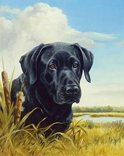 ��ԭ�ϵĴ�ڹ� ��β�Ͳ��ʯ��ʮ�ֽ�