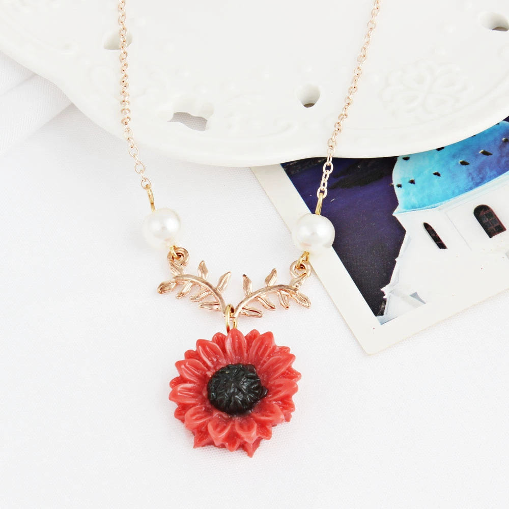Creative accessory, fashionable necklace, pendant, sweater, for import, European style, flowered