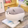 Gray Inu