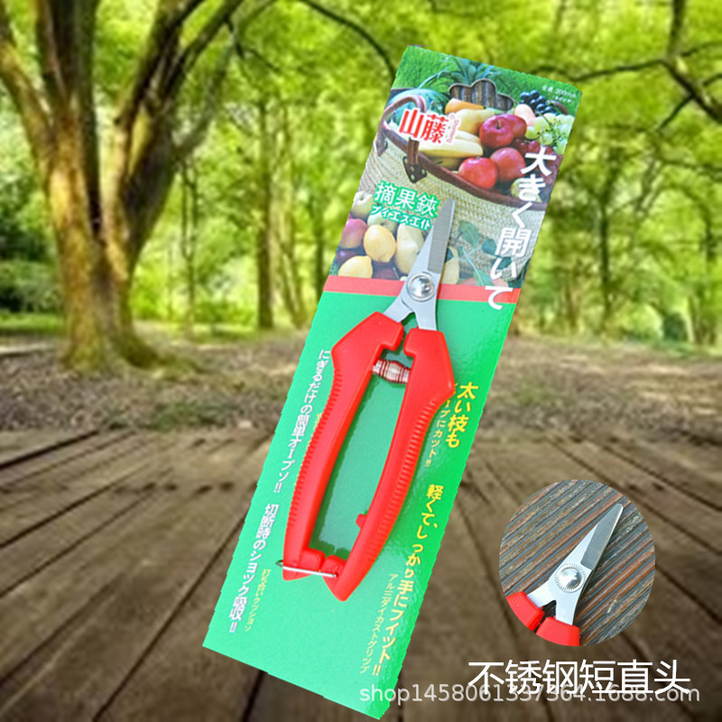 厂家直销不锈钢短直头葡萄剪桔子剪刀采果剪摘果剪疏果剪 橙子剪