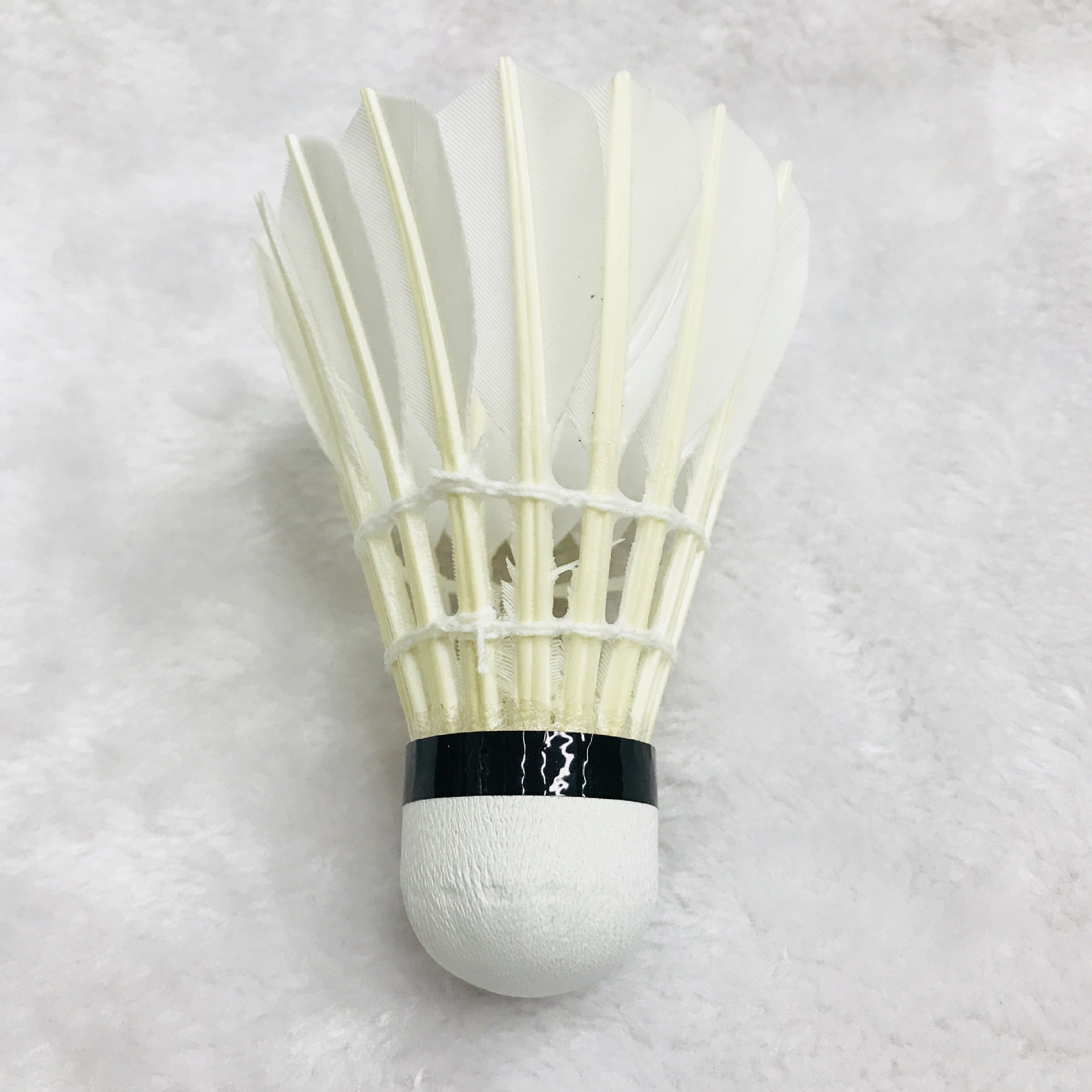 IMG_3105(20180305-111017)