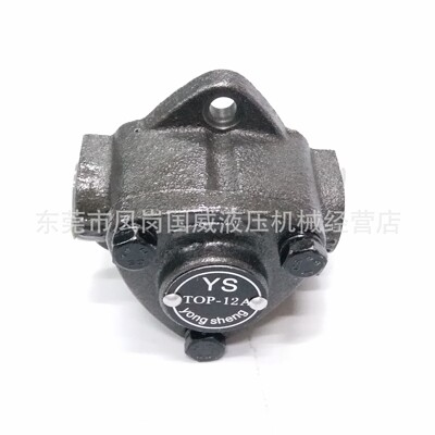 Manufactor Direct selling wholesale TOP-12A Hydraulic pressure Gear pumps Machine tool Direct Drive Oil pump Trochoid Pump