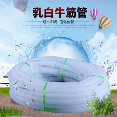 厂家直销pvc乳白牛筋软管 建筑工程抗老化塑料管 家用流体管|ms