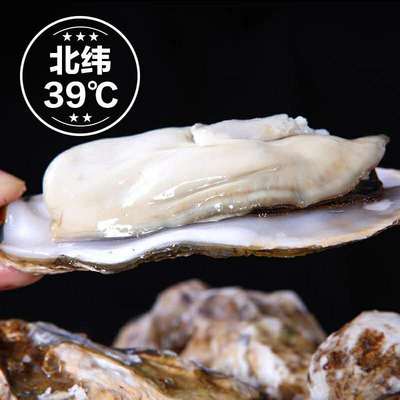 順豐發貨 乳山生蚝 10斤裝