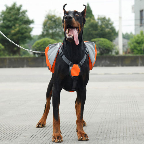 Pet supplies backpack harness for medium and large dogs, travel backpack, training pack