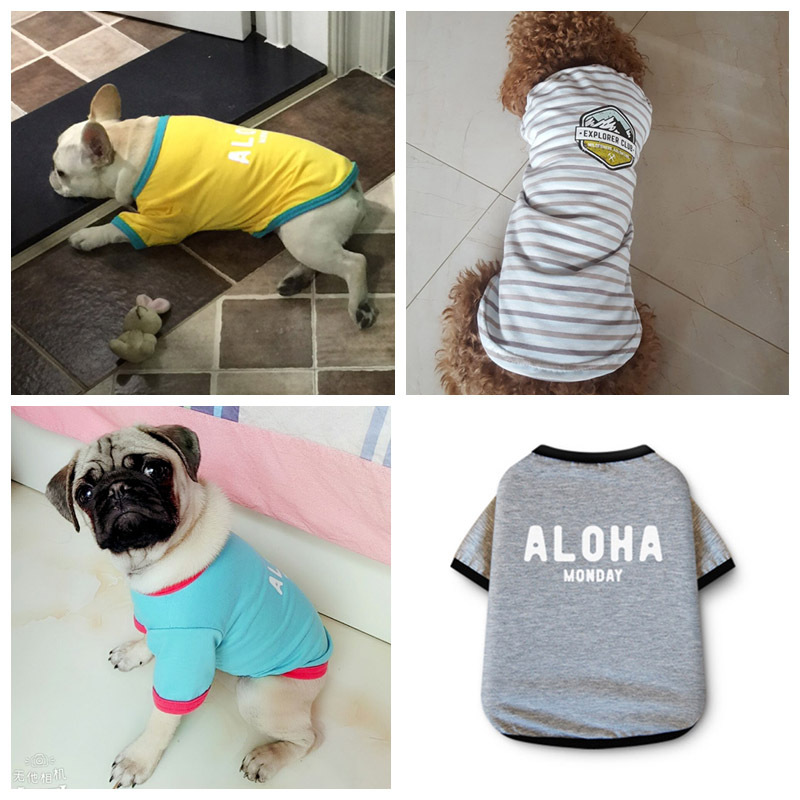 宠物狗狗猫咪衣服装春夏秋季新款T恤纯棉弹力舒适厂家直销批发