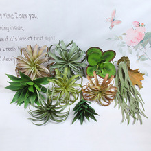 �������ֲ�� ����l�y�J�C ���z�Gֲ�b��辰���� �҃Ȳ廨�辰