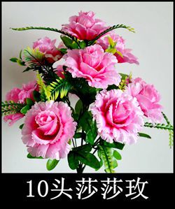10头莎莎玫.jpg