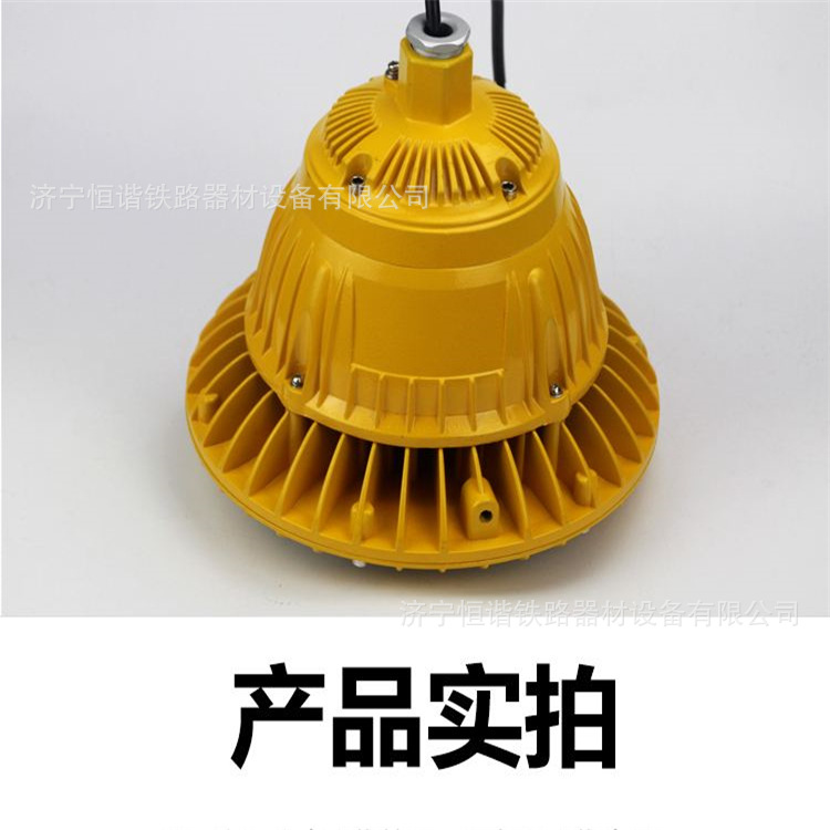 厂家直销 ZAD307LY-100/220LED免维护防爆灯 防爆灯