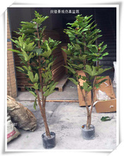 仿真无花果树 假树无花果 无花果树盆栽 无花果绿植盆栽 无花果树