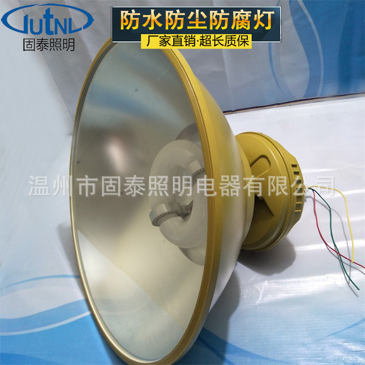 免维护节能防水防尘防腐工厂灯 密闭深照型无极灯 SBF6110-YQL150