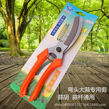 �S�����l�߼�������� ���[���^���ü� �����^������o �B�����