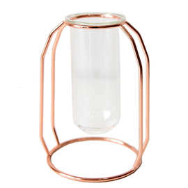 金属花架试管透明玻璃花瓶简约现代创意家居花艺水培插花装饰品