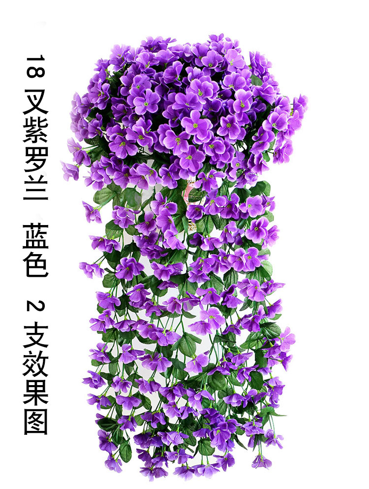 18叉紫罗兰 蓝色