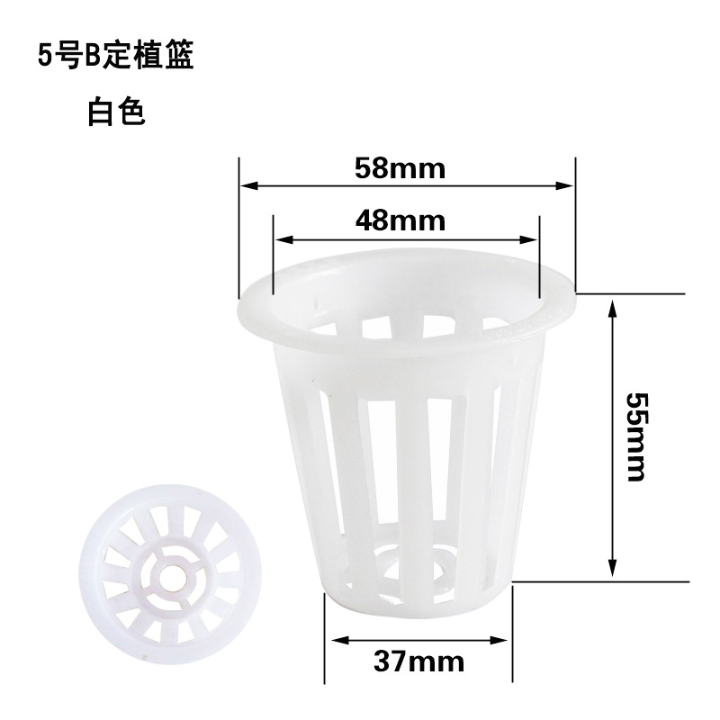 批发供应 水培塑料定植杯 5号B 49-56mm 两色 果蔬菜蔬固根器|ru
