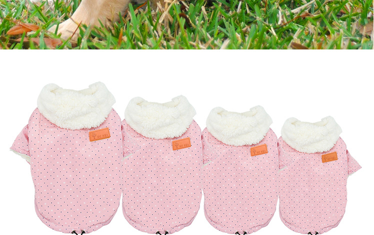 Dog Winter Wear
