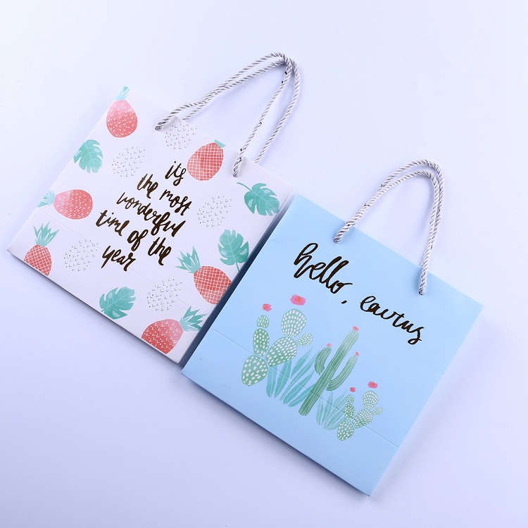 55097 新尚文具批發 SS-12424 透明大荒野禮品袋（中號）包裝袋