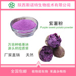 紫薯粉 99% 紫薯速溶粉 喷雾干燥 斯诺特生物 厂家*