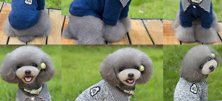 Pet supplies, pet clothing manufacturer wholesale spring and autumn Korean-style lapel two-leg hoodies, fleece hoodies, dog clothes detail image 7