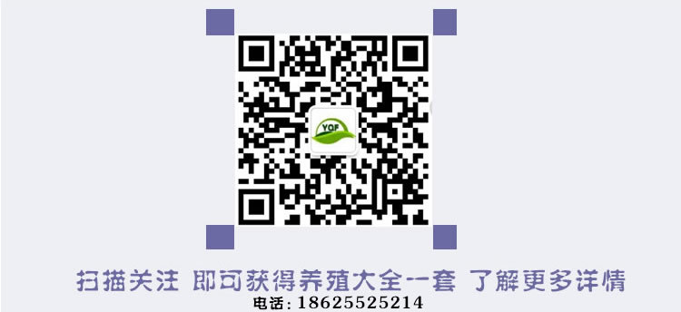 启富厂家联系方式