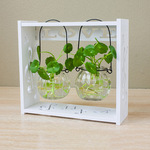 培植物玻璃瓶 南瓜小吊瓶小清新现代花瓶摆件客厅插花北欧风格