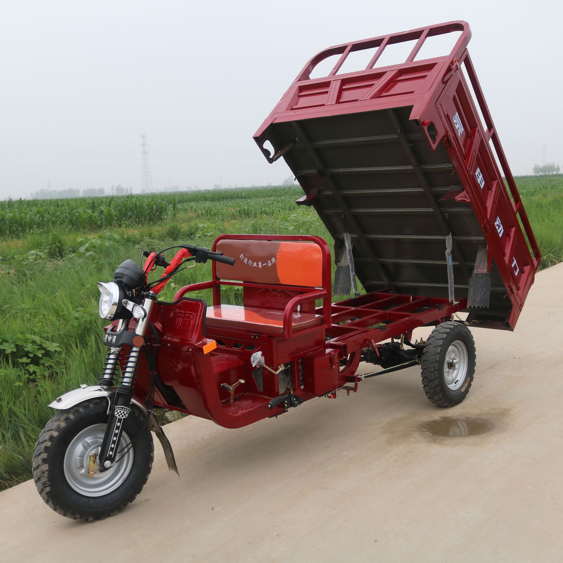 Manufactor wholesale Zong Shen 110 engine Fuel gasoline Agriculture household Freight Cargo Three motorcycle