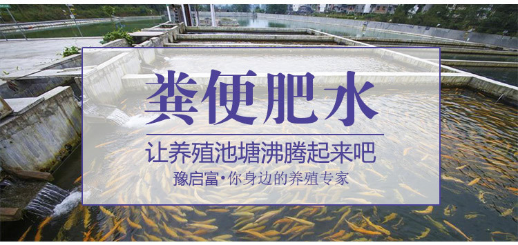 10亩鱼塘用鸡粪便沸水养鱼需要多少成本的粪便发酵剂