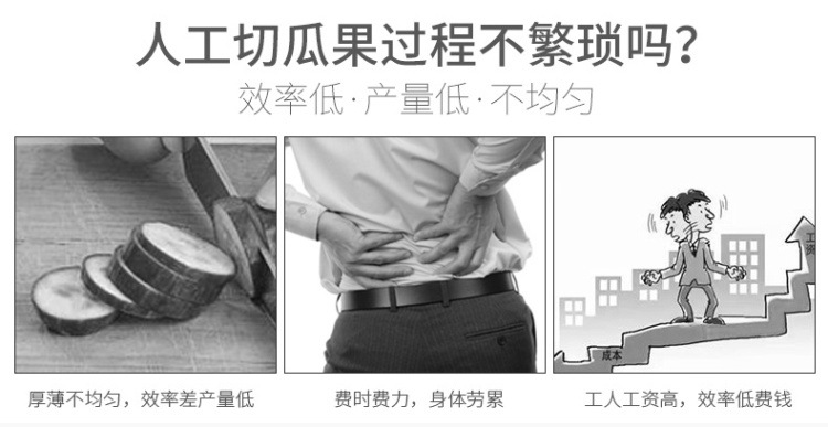 瓜果切丝切片机 (4).jpg