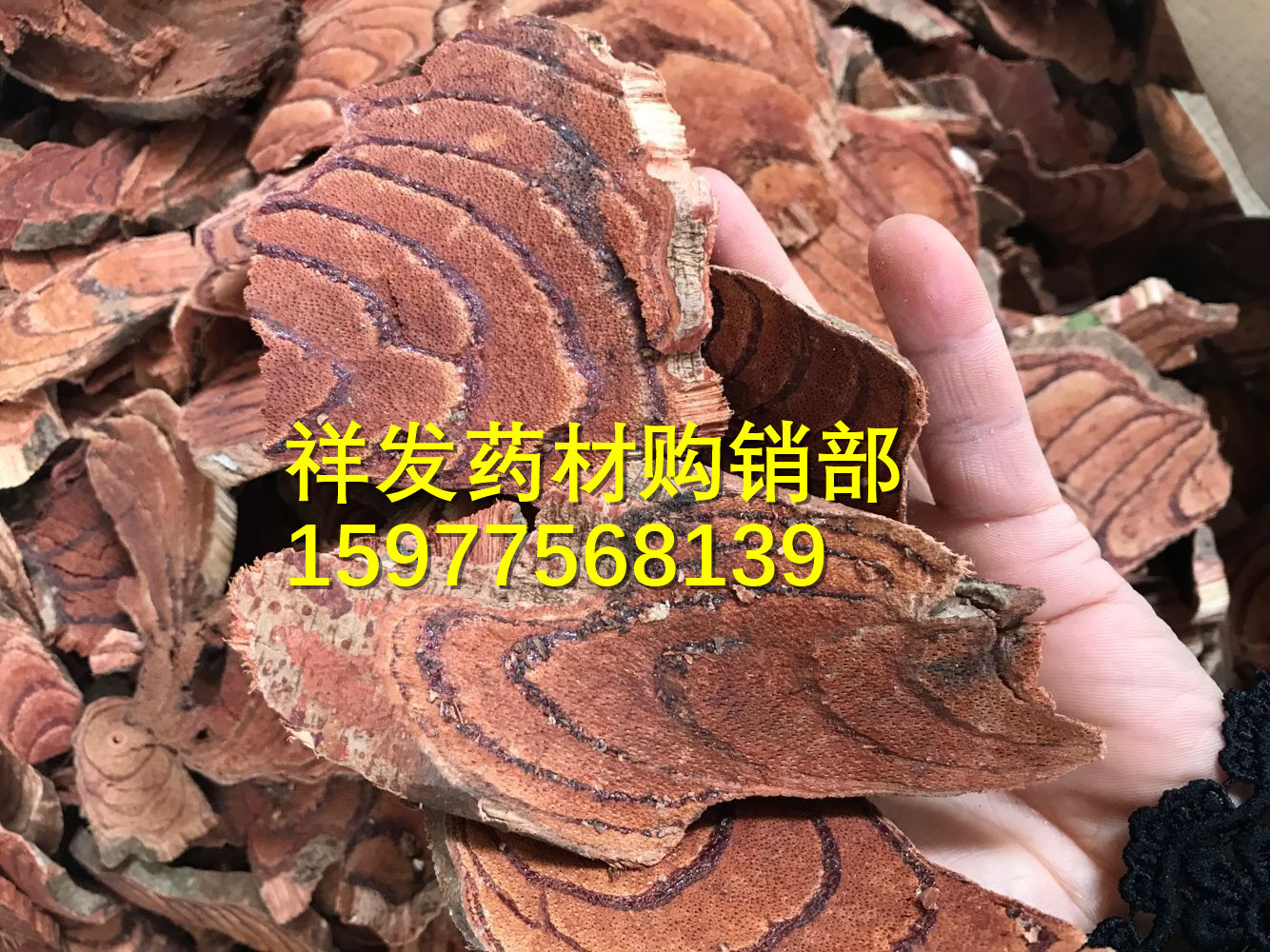 进口受阻的鸡血藤有国产货补充 但口岸情况仍需关注 - 中药材产业信息门户网站