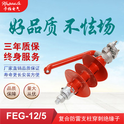 复合绝缘子 高压针式10KV绝缘子 防雷高压绝缘子FEG-12/5