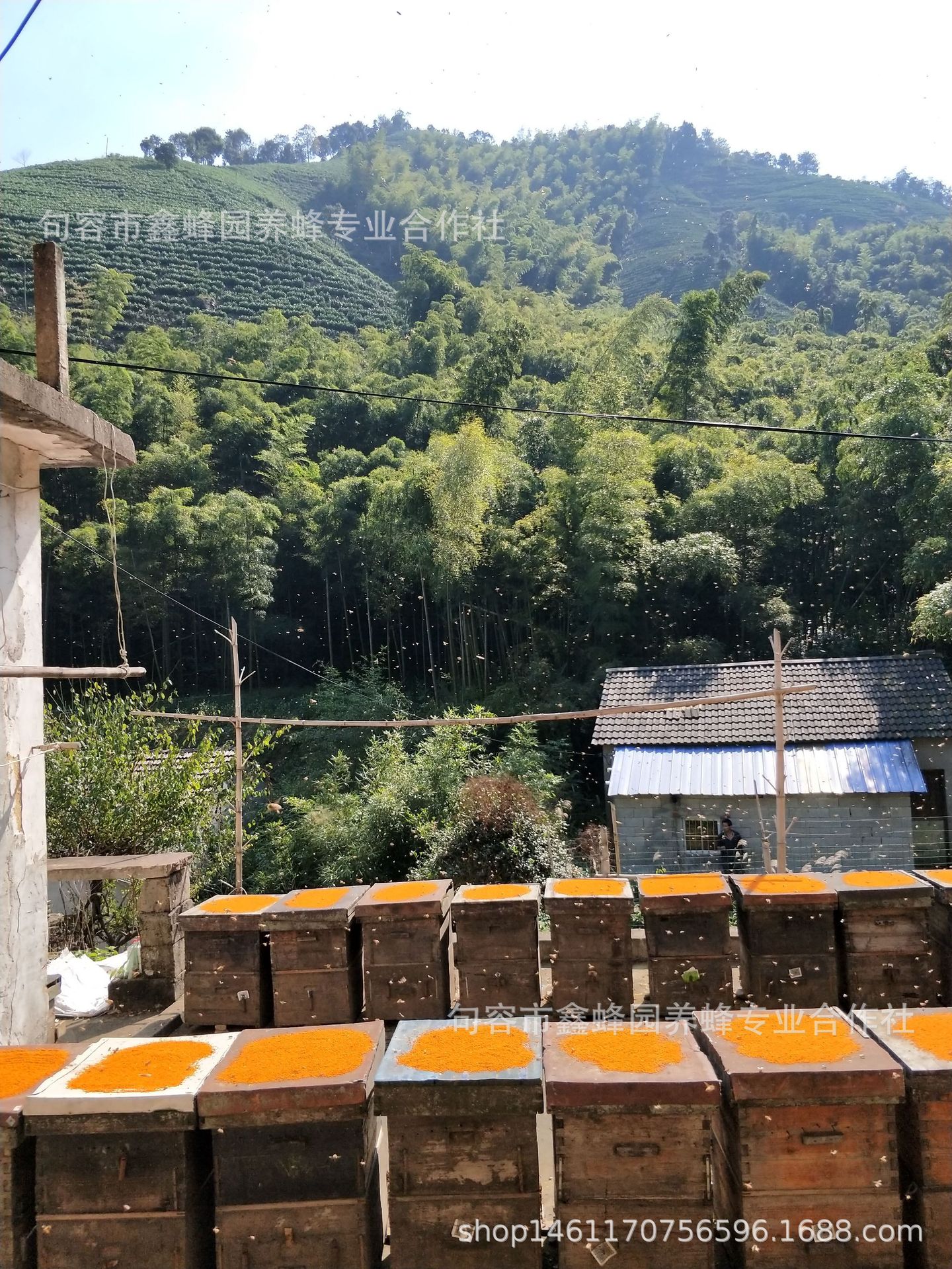 QQ图片20181102213148