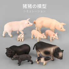 仿真家畜哺乳动物模型玩具小猪公仔静态家居摆件动物模型多款可选