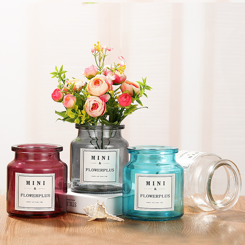 Nordic Vase Mini Hydroponic Flowers Pothos Vase Transparent Glass Dry Vase Transparent Vase