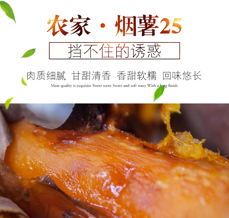 16888-烟薯_01