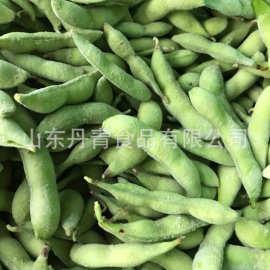 供应 速冻毛豆荚 冷冻毛豆粒 欢迎咨询