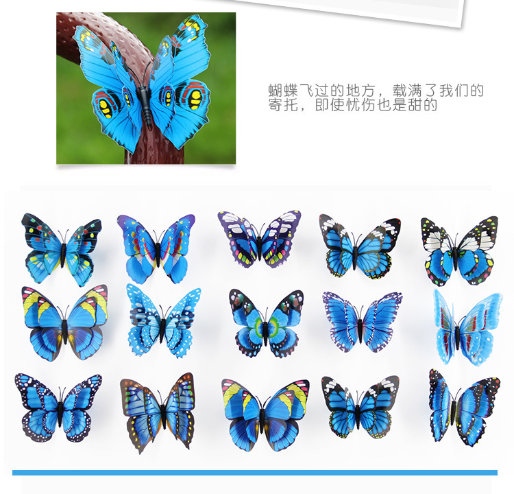 蝴蝶_20.jpg