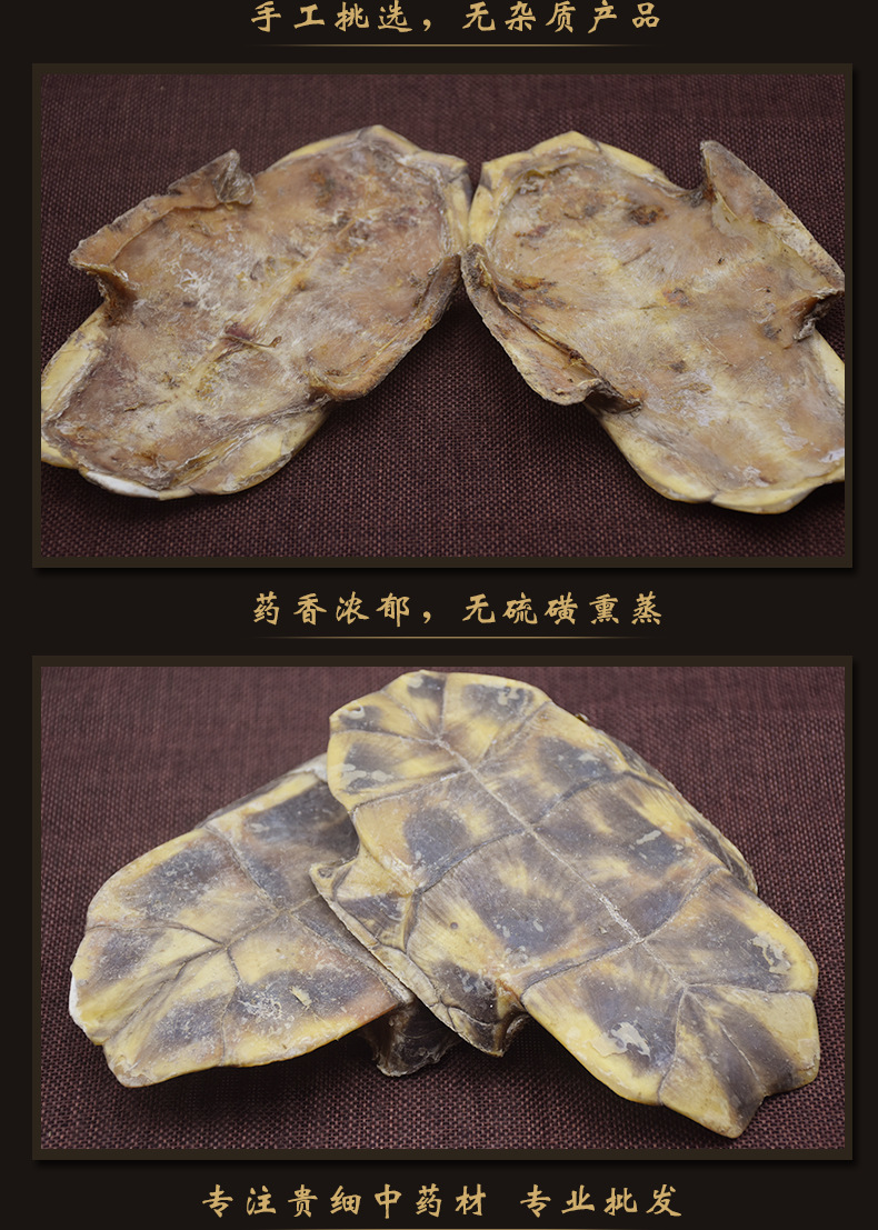 Gui Ban (Plastrum Testudinis) — Dried Turtle Shell Pieces, Whole 500g, Zhejiang Origin preparation