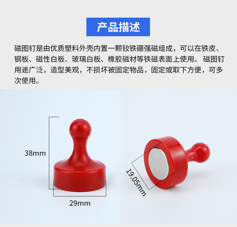 彩色强磁图钉-大号_02.jpg
