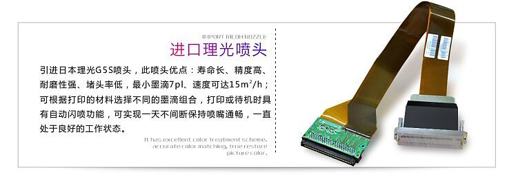 QQ Picture 20180530135552