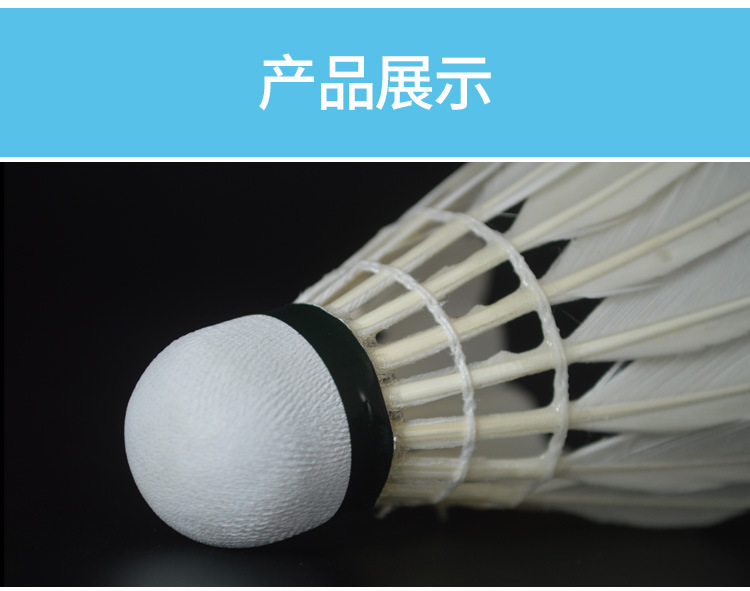 羽毛球701_10.jpg