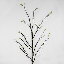 G~ Slѿl֦ bl֦ G~֦